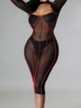 Giti Sheer Contrast Dress Pic 1 is Dress